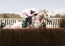 Mansionbet Handicap Chase