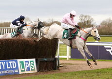 Mansionbet Handicap Chase