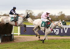 Mansionbet Handicap Chase
