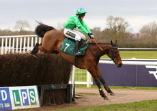 Mansionbet Handicap Chase