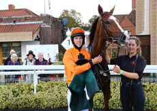 Racing TV Mares' Novices' Hurdle.