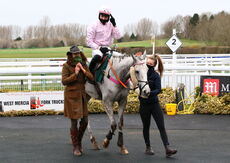 Mansionbet Handicap Chase
