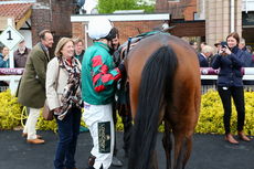 Racing TV Handicap Hurdle.