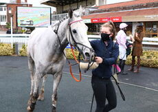 Mansionbet Handicap Chase