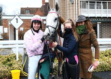Mansionbet Handicap Chase