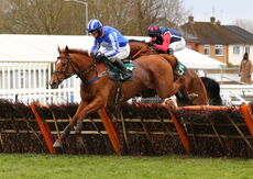 Mansionbet Handicap Hurdle.