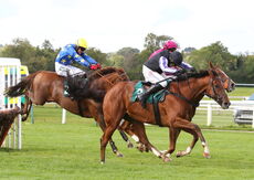 Racing TV Maiden Hurdle.