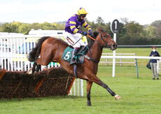 Racing TV Maiden Hurdle.