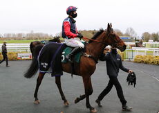 Mansionbet Handicap Hurdle.