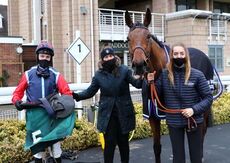 Mansionbet Handicap Hurdle.