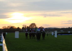 David Nicholson Fillies "Junior" NH Flat Race.