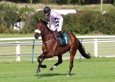 Racing TV Beginners' Chase