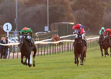 David Nicholson Fillies "Junior" NH Flat Race.