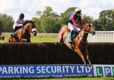 Racing TV Beginners' Chase