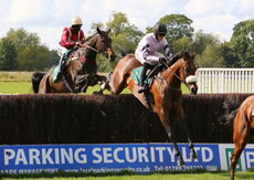 Racing TV Beginners' Chase