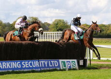 Racing TV Beginners' Chase