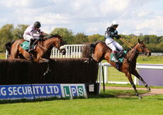 Racing TV Beginners' Chase