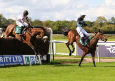 Racing TV Beginners' Chase