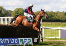 Racing TV Beginners' Chase