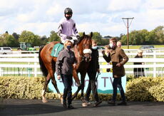 Racing TV Beginners' Chase