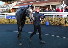David Nicholson Fillies "Junior" NH Flat Race.