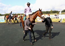 Racing TV Beginners' Chase