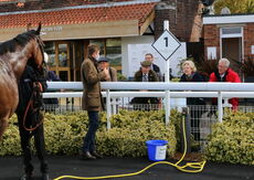 Racing TV Beginners' Chase
