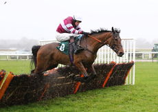 Agetur UK Juvenile Maiden Hurdle