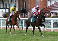 Mansionbet 'NH' Flat Race