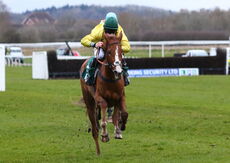 Mansionbet 'NH' Flat Race
