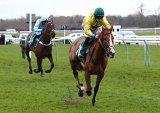 Mansoline (Gavin Sheehan)