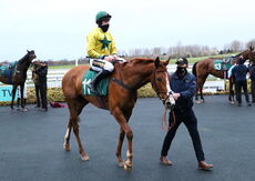 Mansionbet 'NH' Flat Race