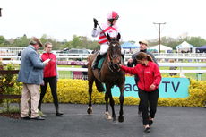 Agetur Conditional Jockeys' H'cap Hurdle.