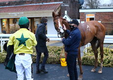 Mansionbet 'NH' Flat Race