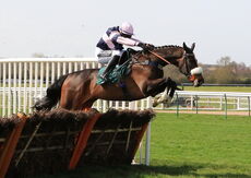 Java Point (Jonathan Burke)
