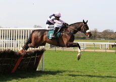 Java Point (Jonathan Burke)