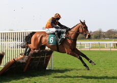 Known (Jonjo O'Neill Jr)