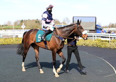 Racing TV Maiden Hurdle