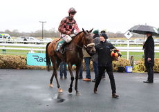 Actioncoach Lady Godiva Mares' Novices' Chase