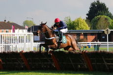 Rybrook BMW Nov Hurdle
