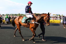 Rybrook BMW Nov Hurdle