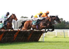 Racing TV Mares' Handicap Hurdle.