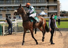 Racing TV Mares' Nov H'cap Chase.