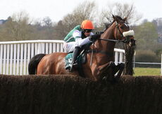 Racing TV Mares' Nov H'cap Chase.