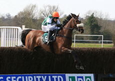 Stylish Dancer (Harry Skelton)