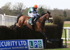 Stylish Dancer (Harry Skelton)