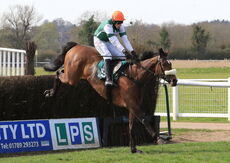 Stylish Dancer (Harry Skelton)