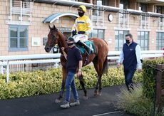 Racing TV Mares' Handicap Hurdle.