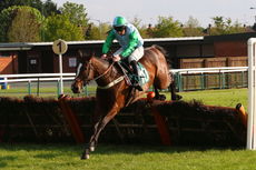 McCoy Contractors NH Maiden Hurdle