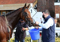 Racing TV Mares' Handicap Hurdle.
